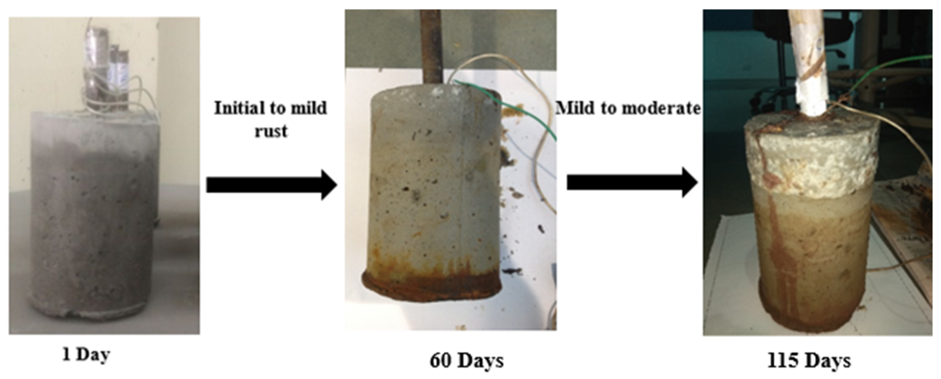 Sustainability 14 12917 g012