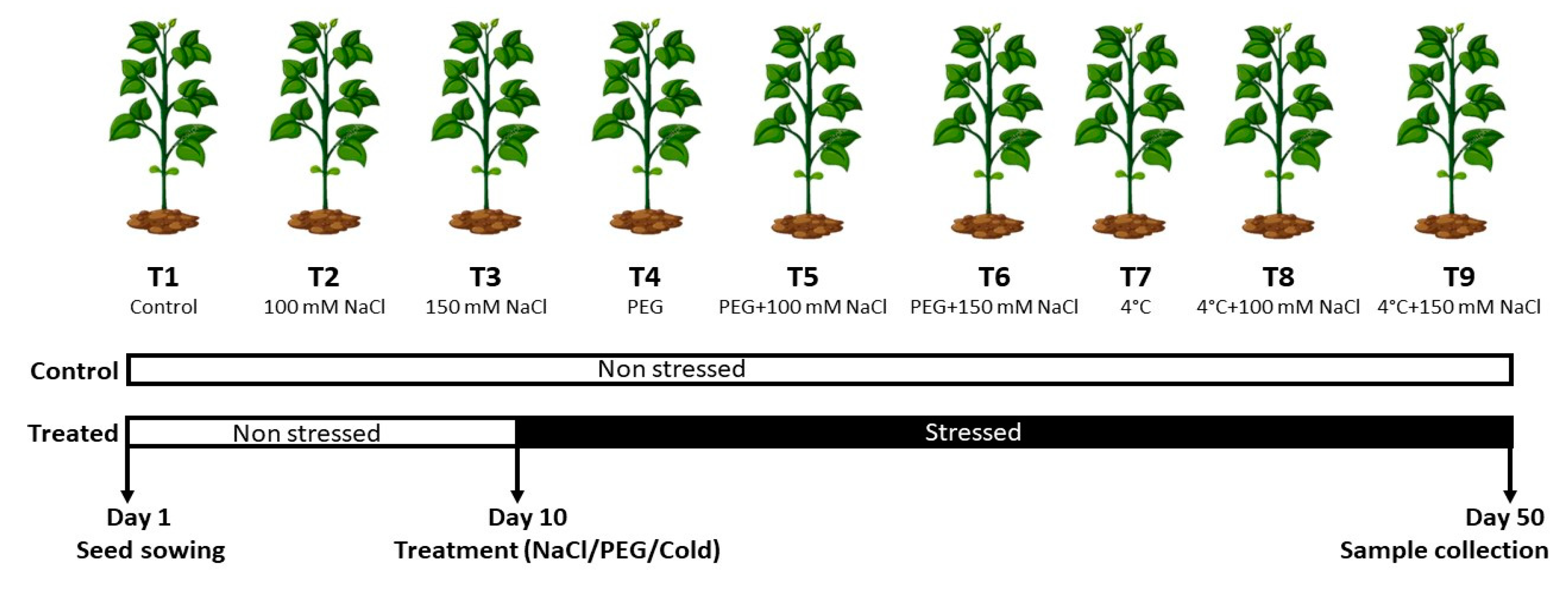 Sustainability 14 12924 g001