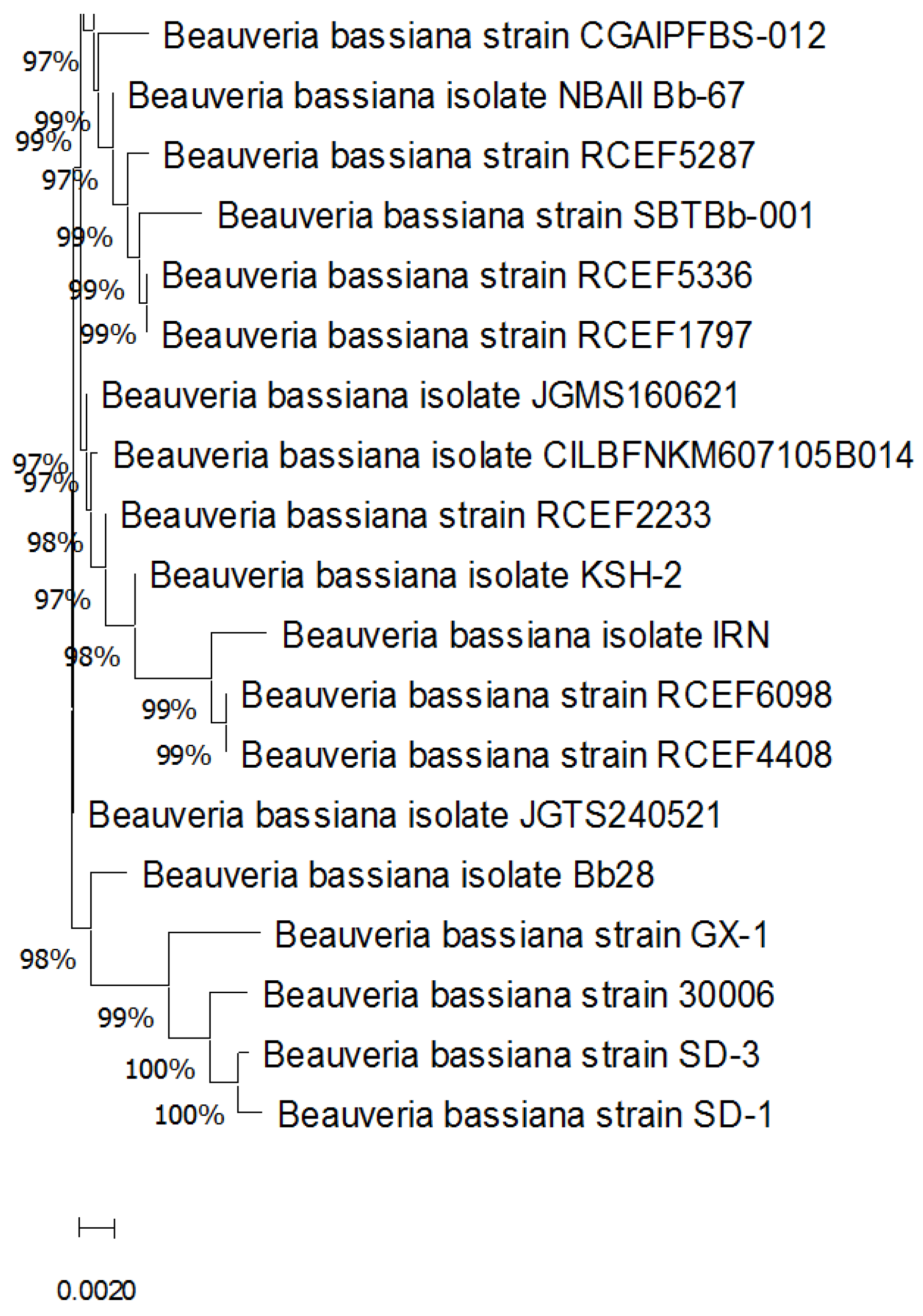 Sustainability 14 13002 g001