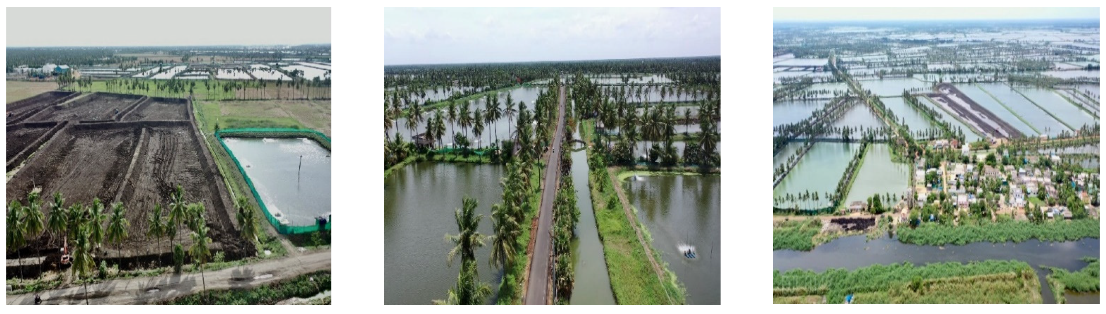 Sustainability 14 13035 g002