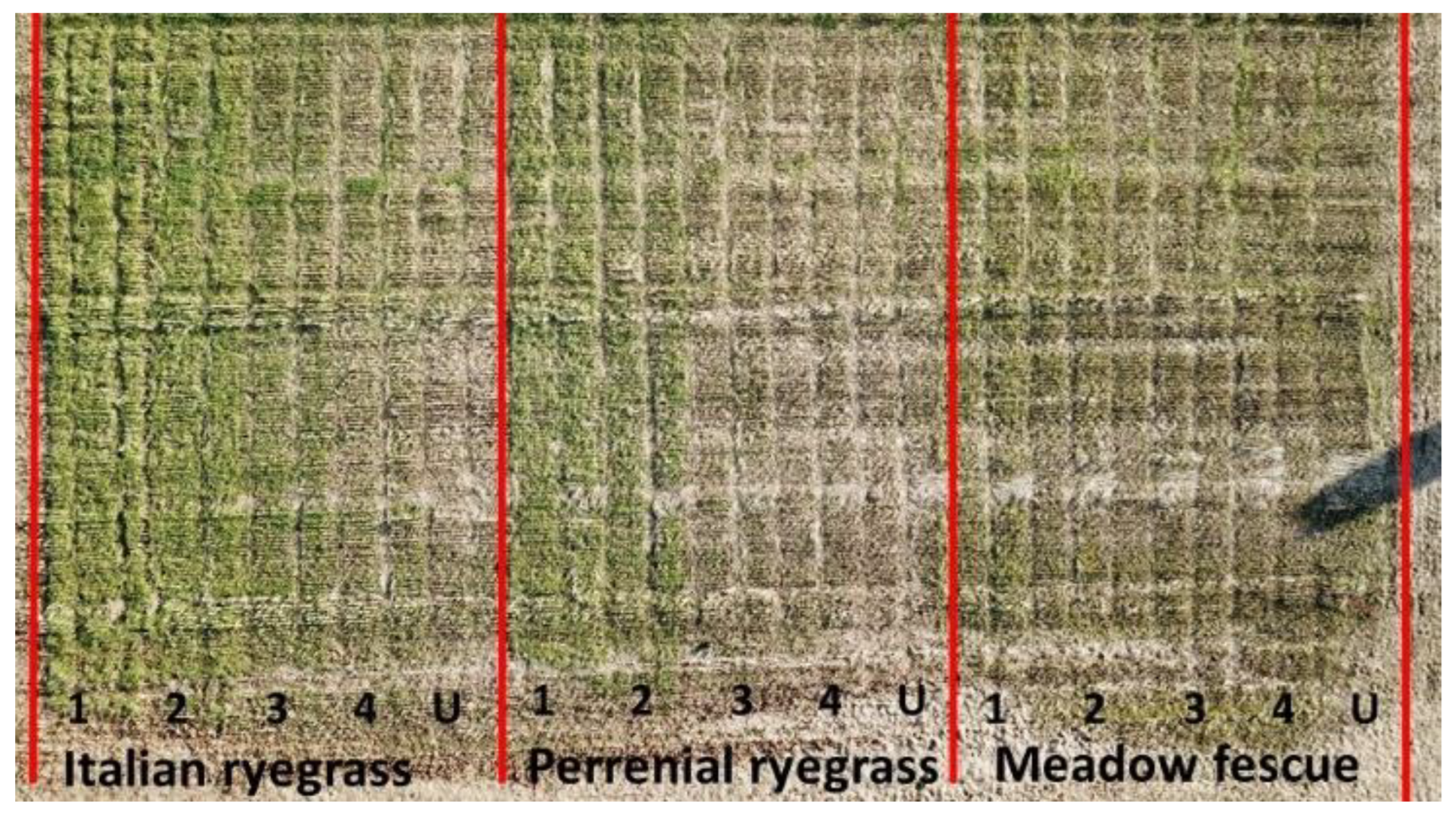 Sustainability 14 13055 g002