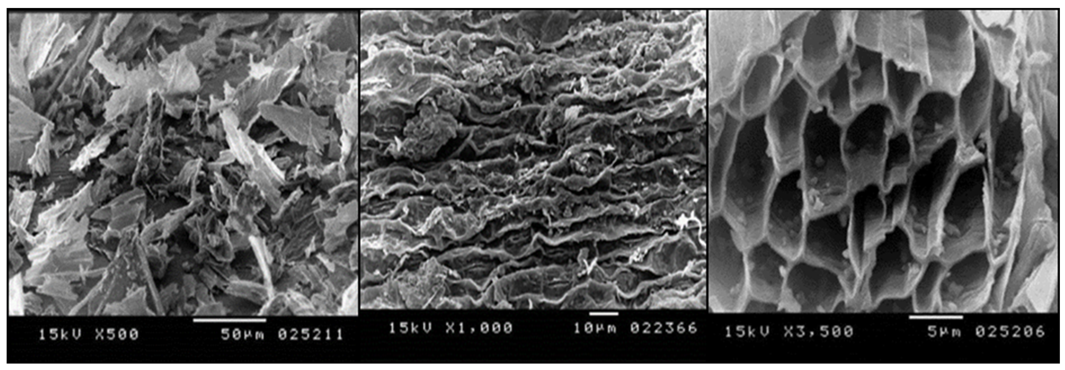 Sustainability 14 13096 g001