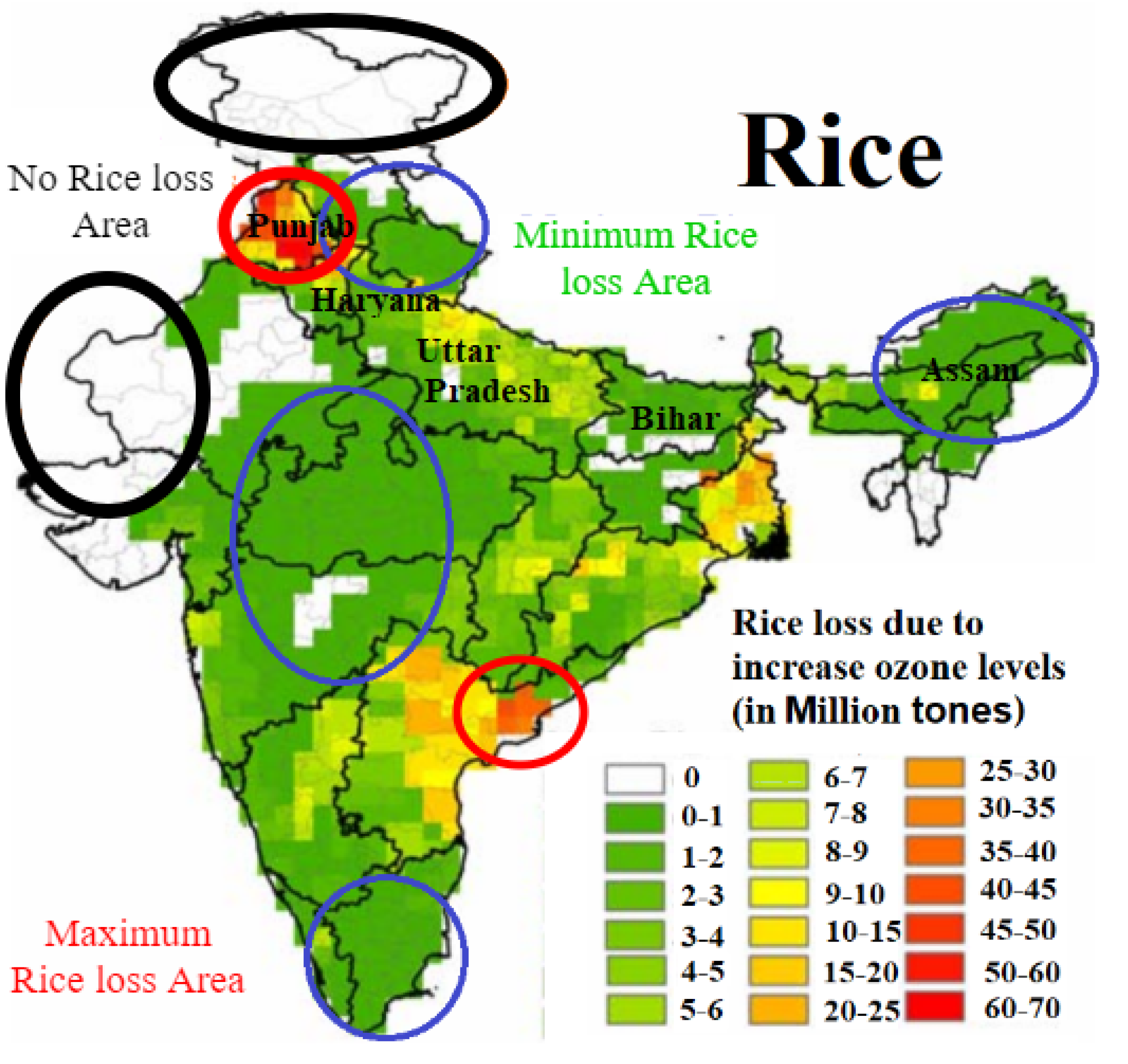Sustainability 14 13098 g005