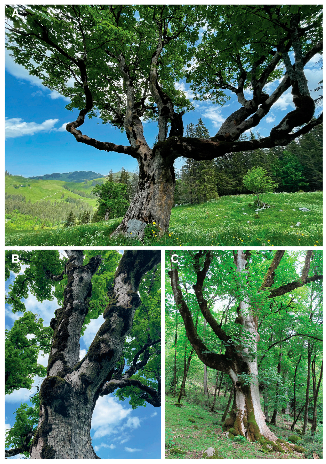 Sustainability 14 13107 g002