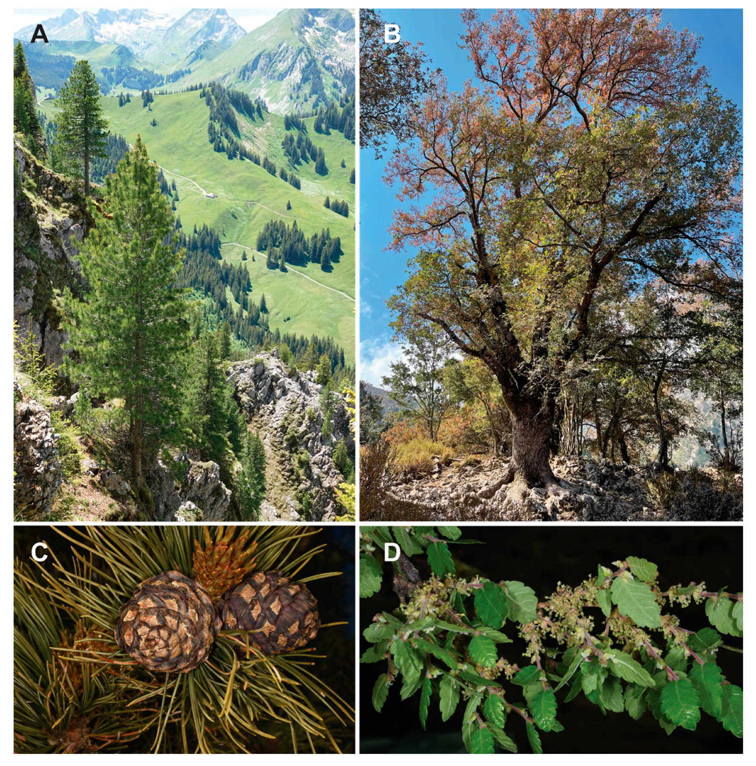 Sustainability 14 13107 g004