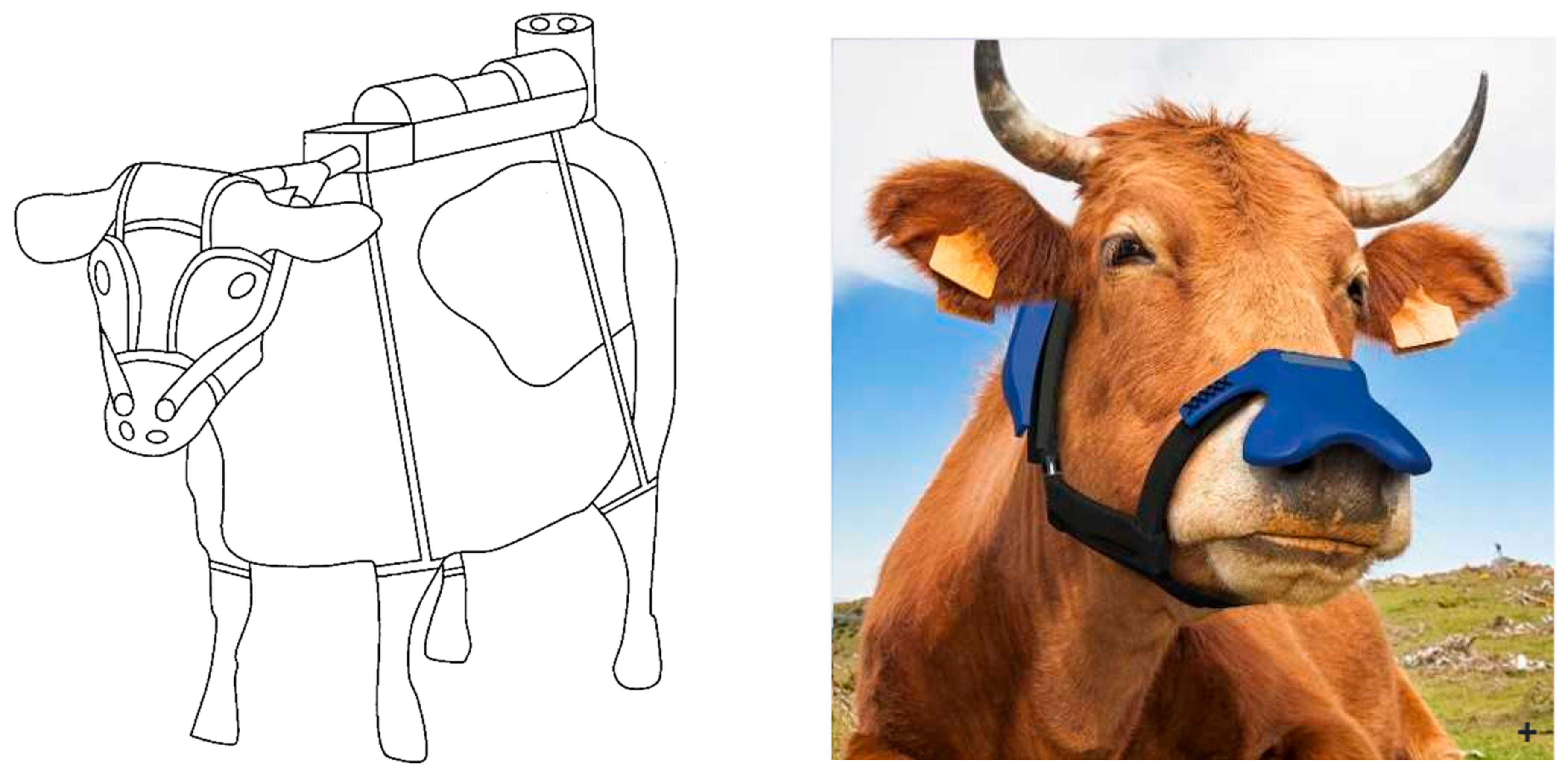 Sustainability 14 13229 g004