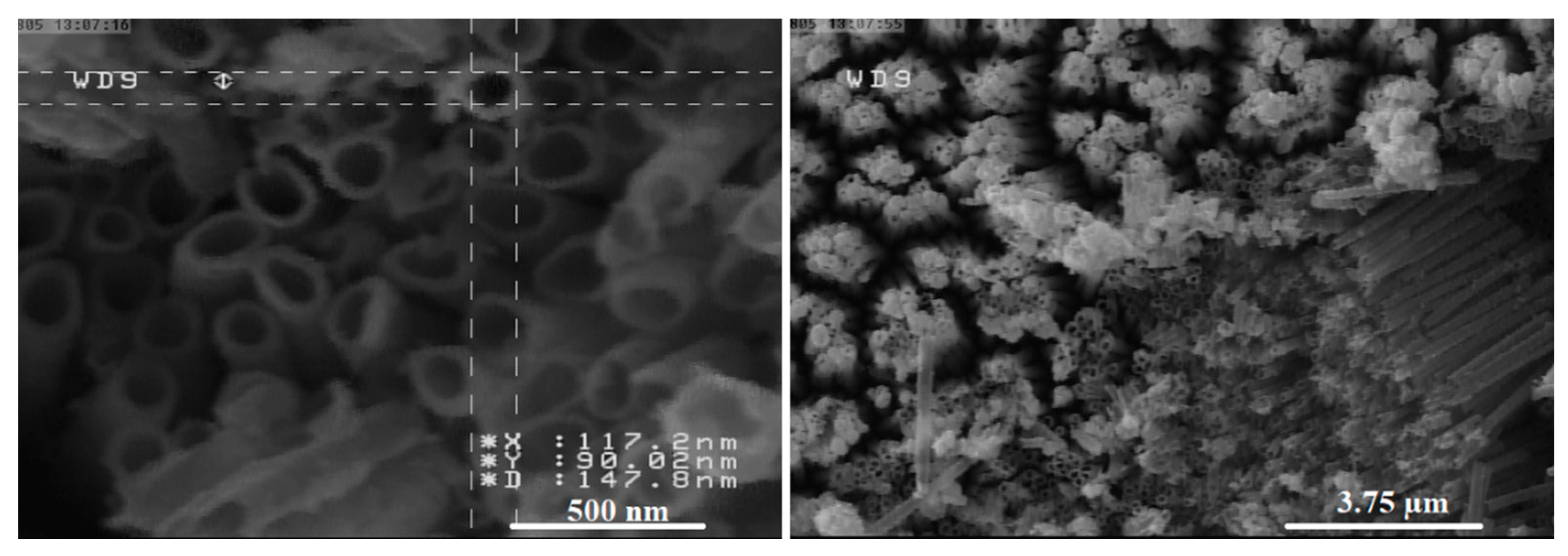 Sustainability 14 13251 g002 Sustainability 14 13251 g002