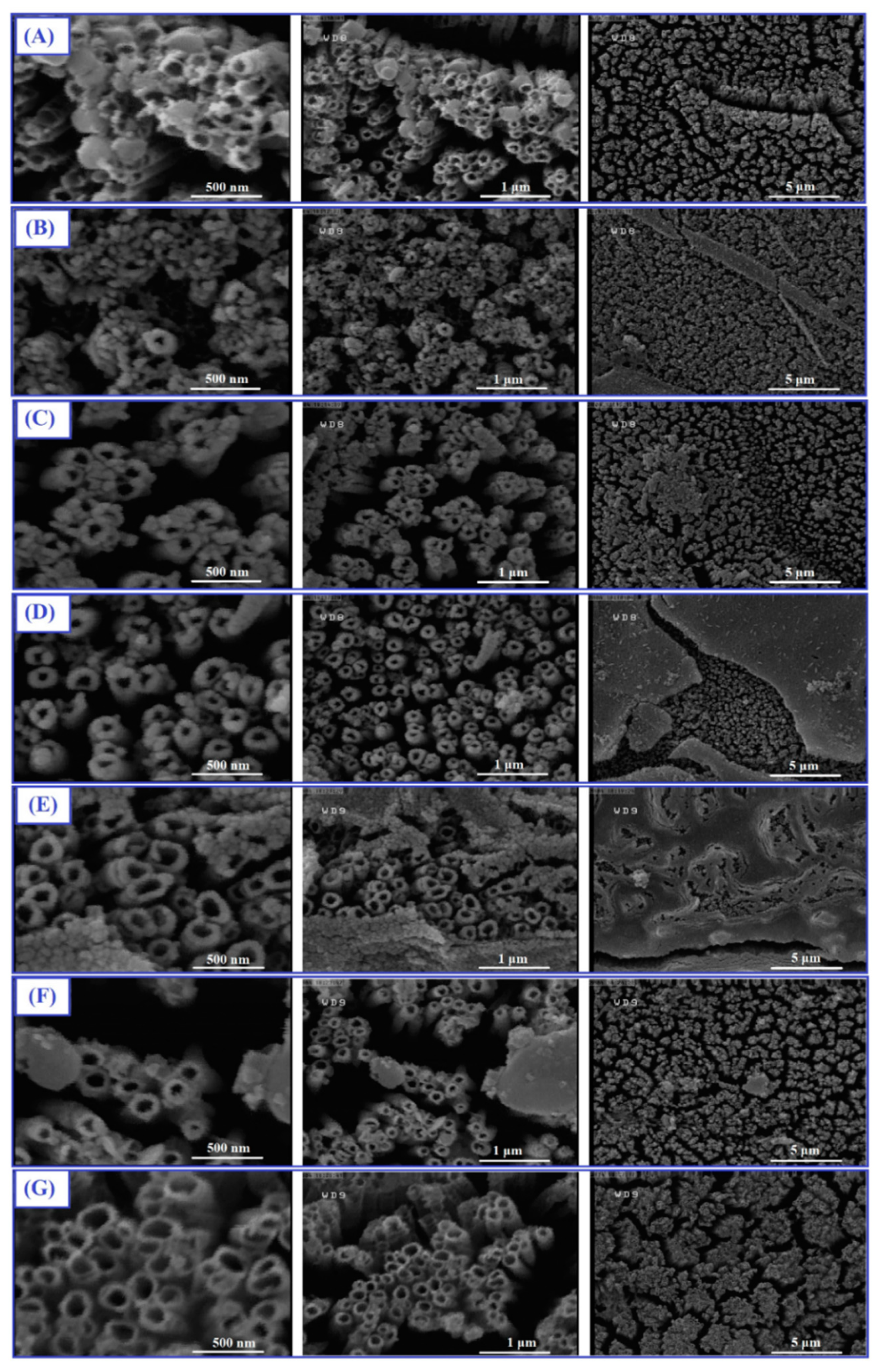Sustainability 14 13251 g003 Sustainability 14 13251 g003