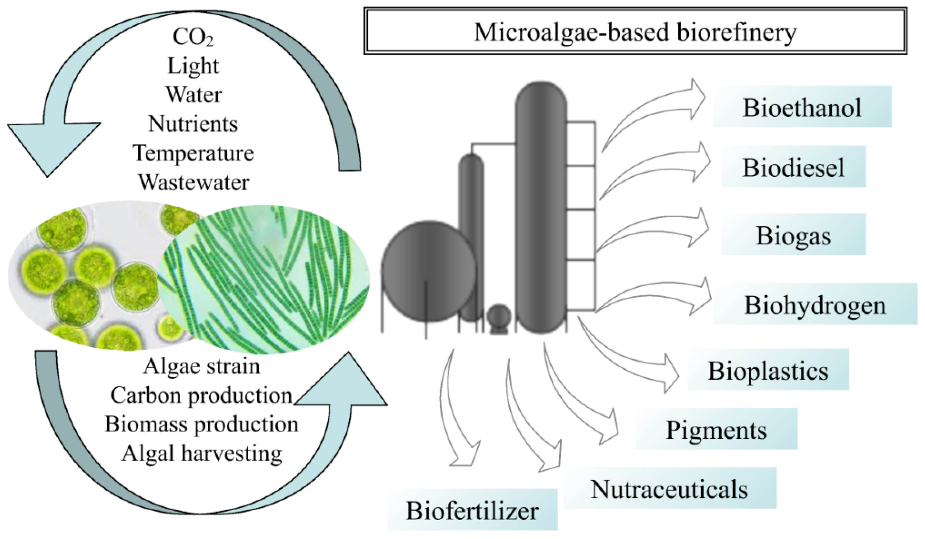 Sustainability 14 13291 g003