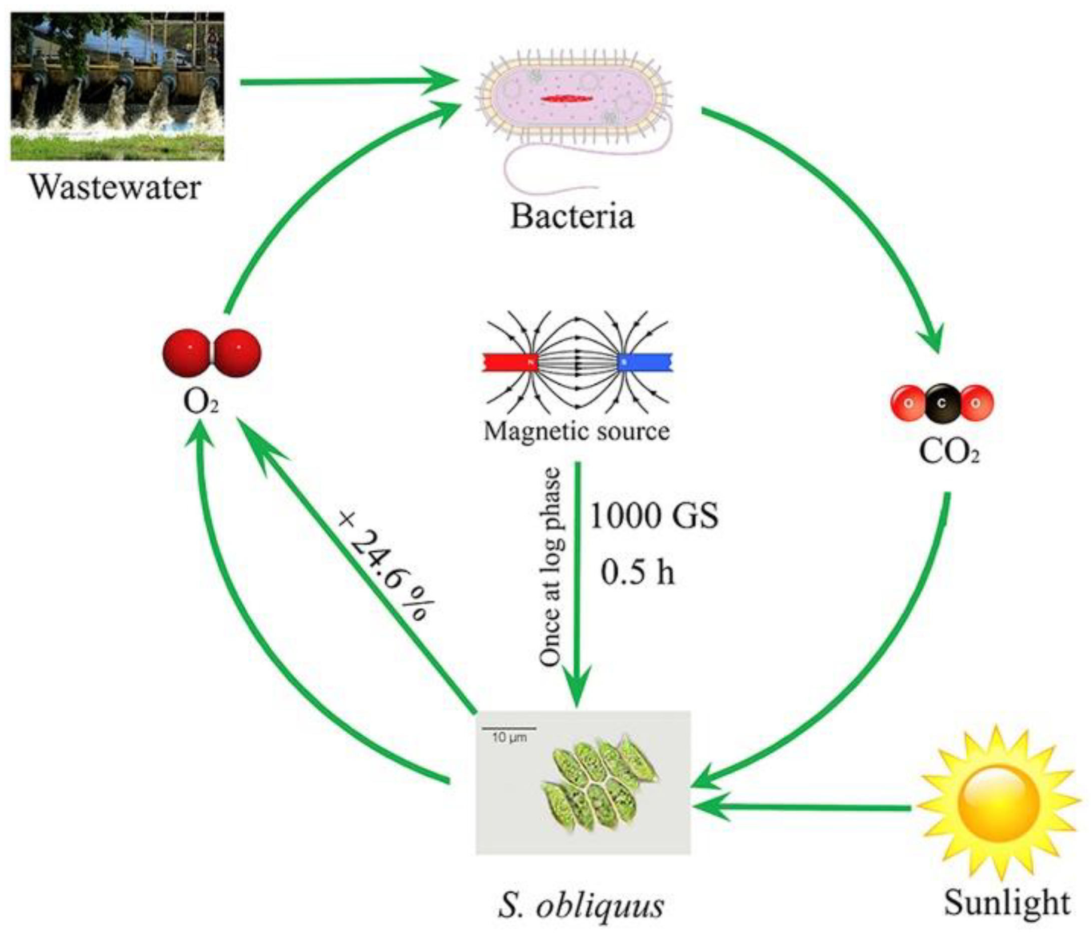 Sustainability 14 13291 g007