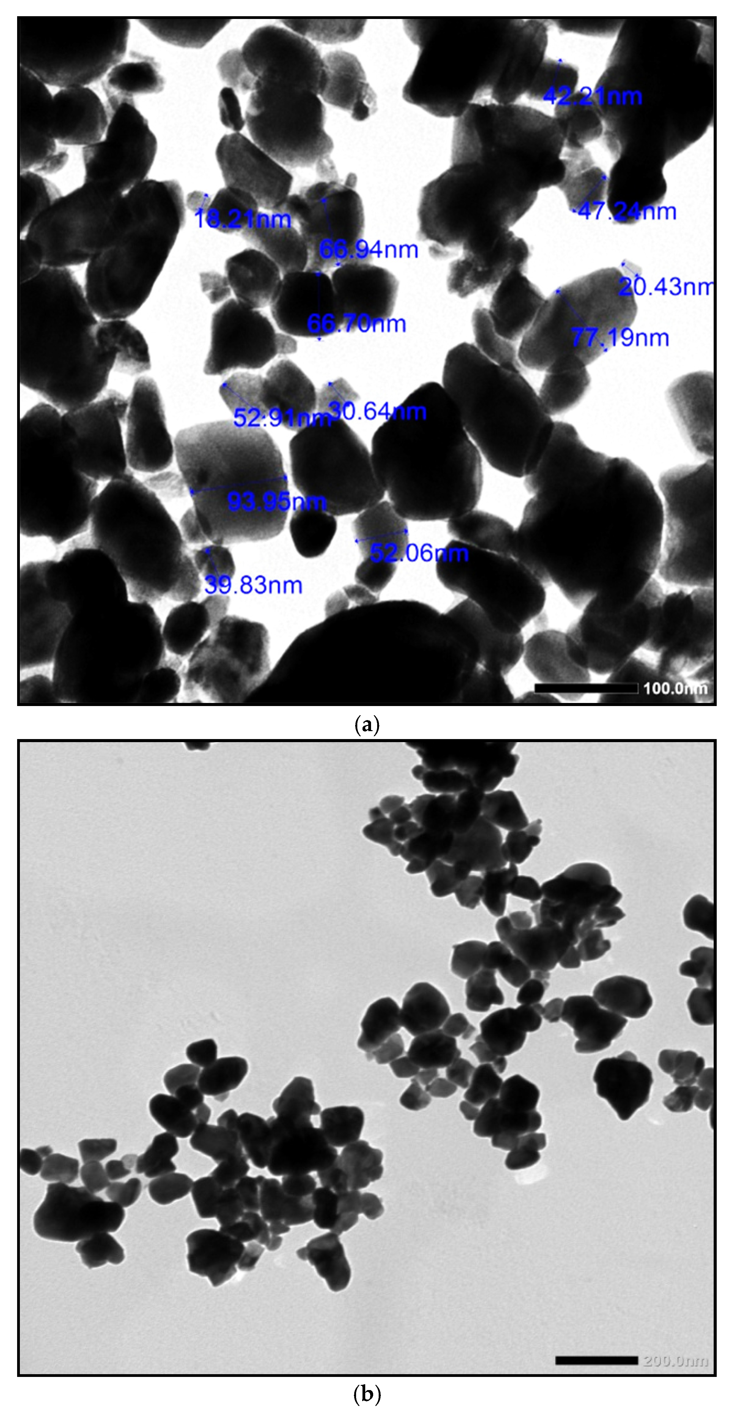Sustainability 14 13355 g003