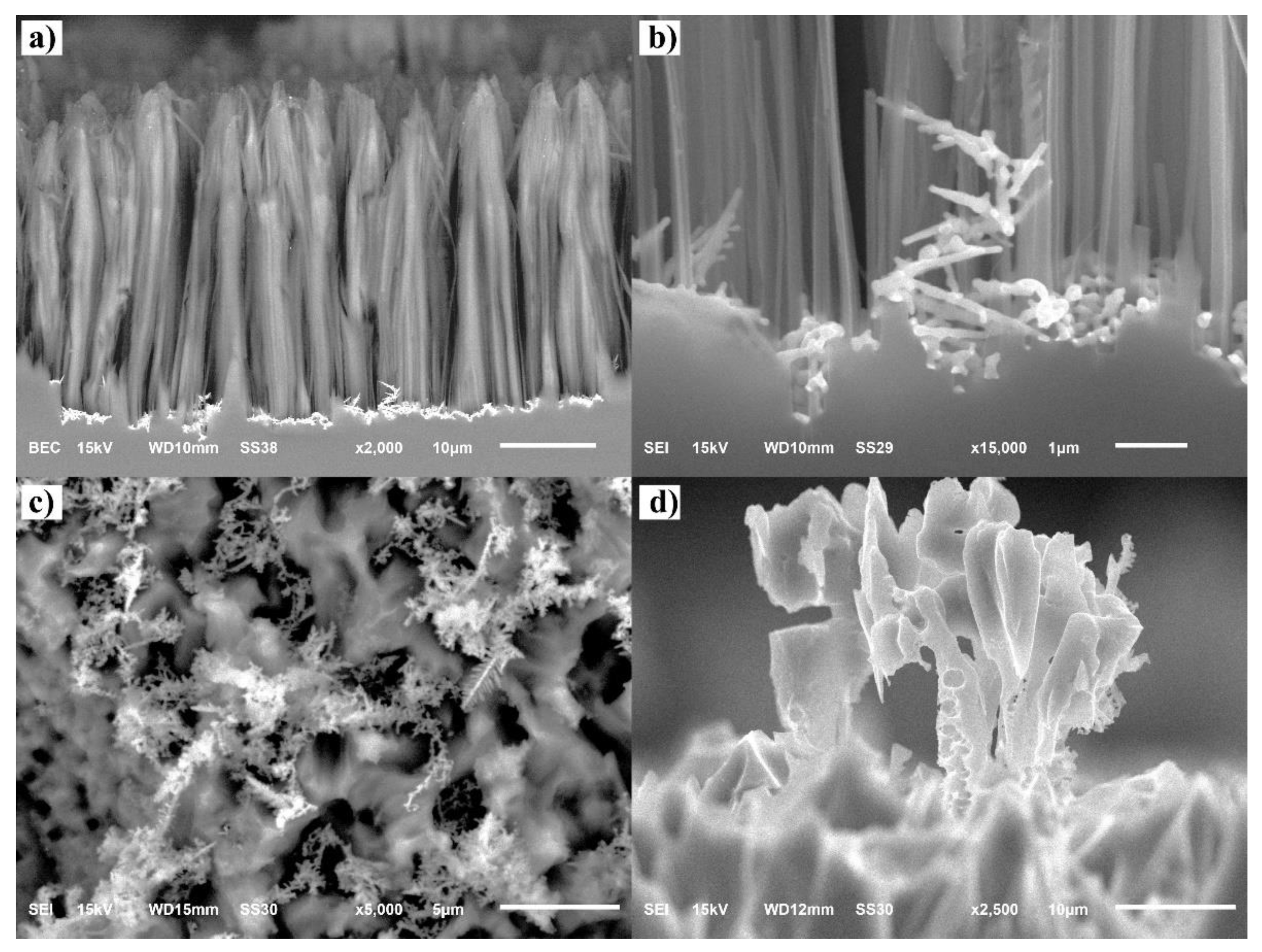Sustainability 14 13361 g006