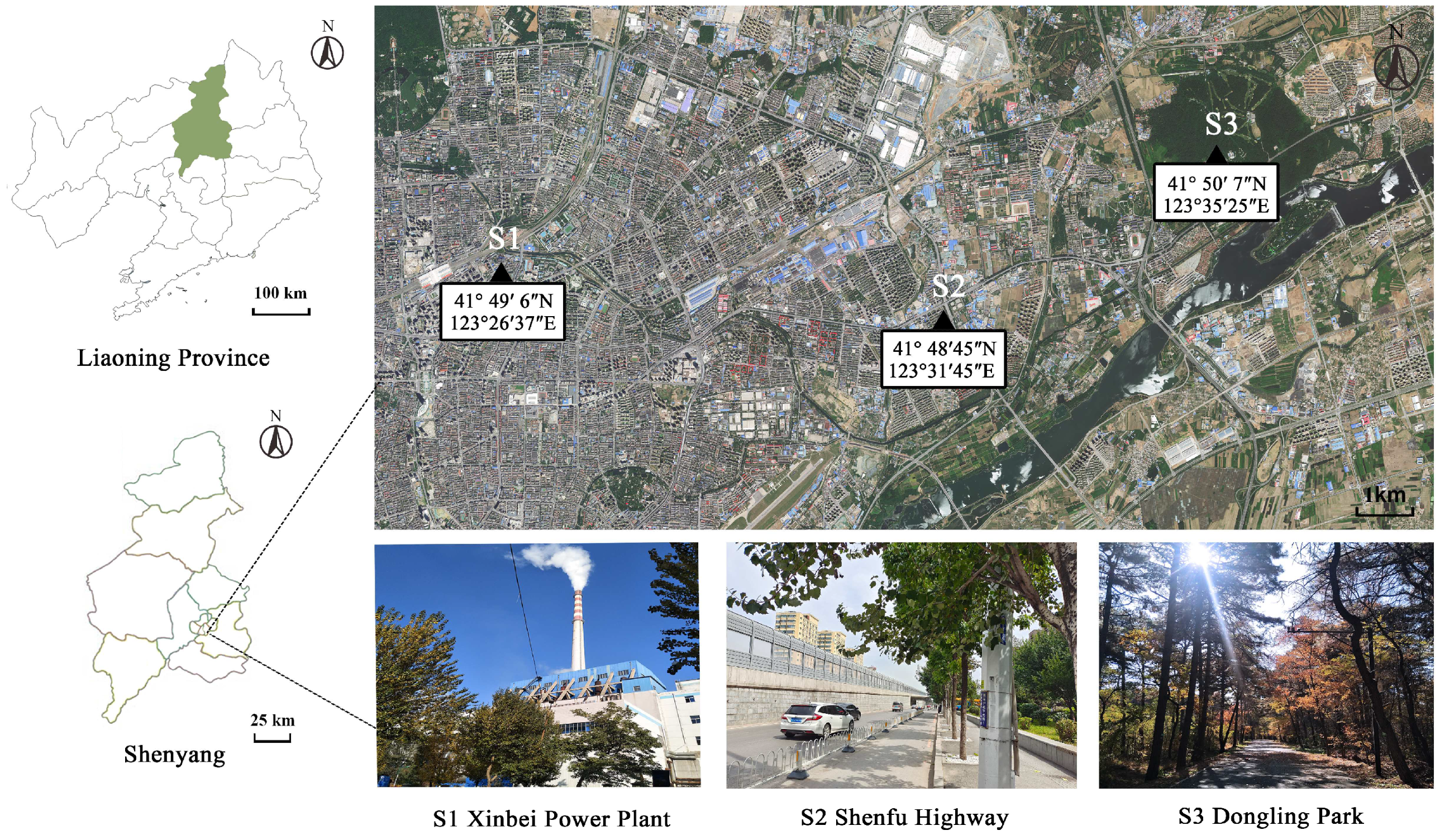 Sustainability 14 13374 g001