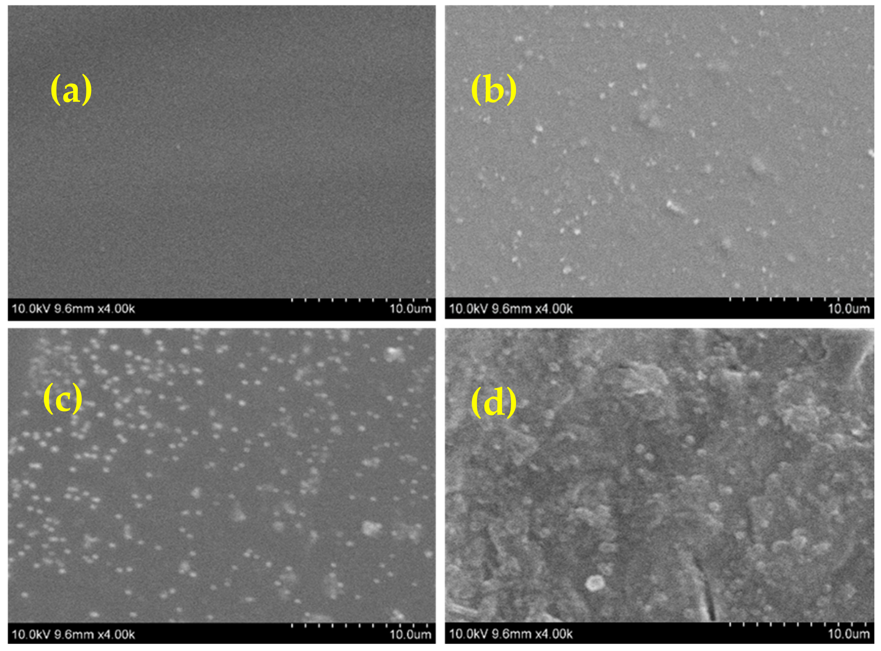 Sustainability 14 13401 g005 Sustainability 14 13401 g005