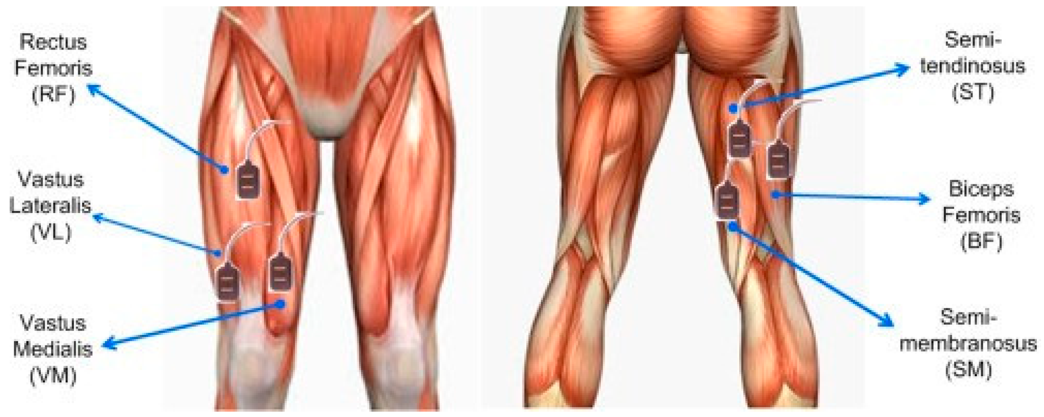 Sustainability 14 13464 g001