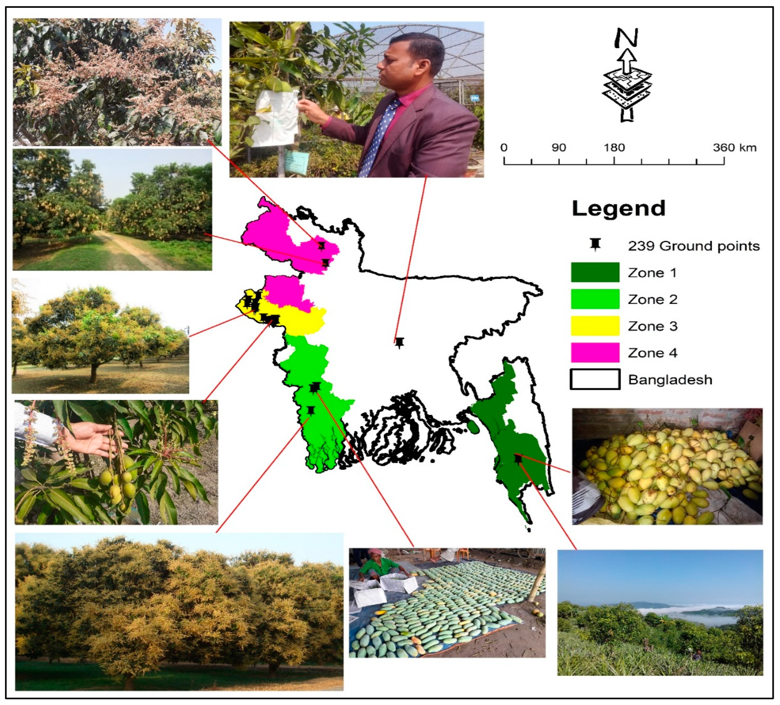 Sustainability 14 13495 g003