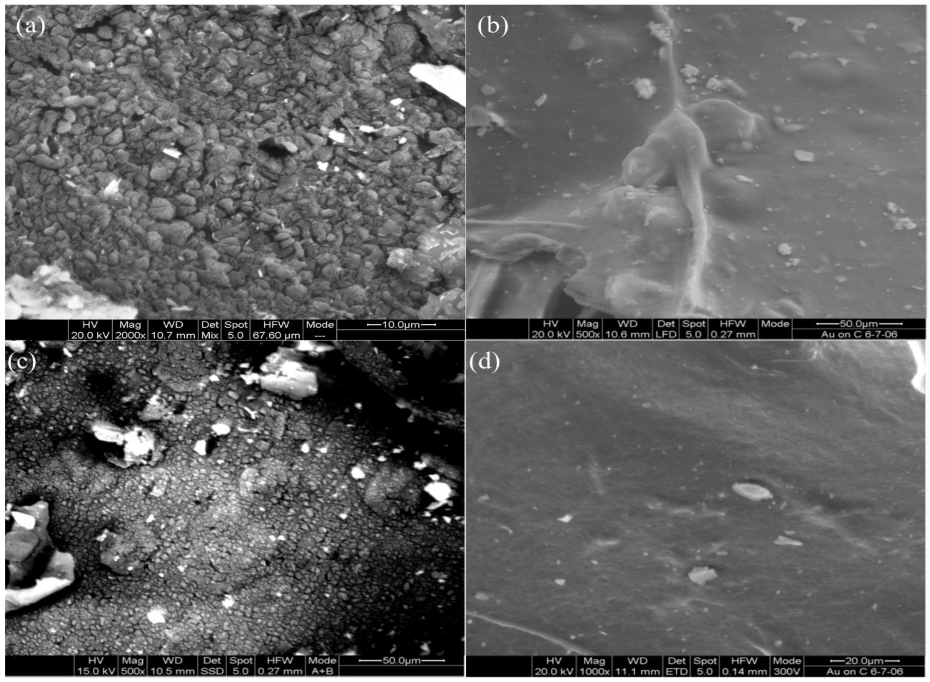 Sustainability 14 13527 g010