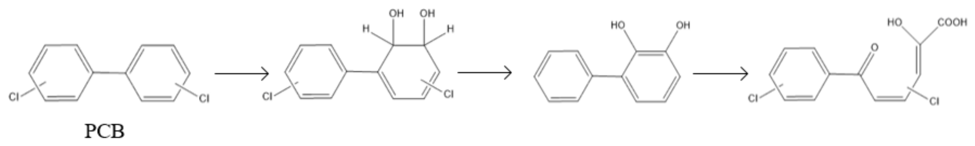 Sustainability 14 13582 g002 Sustainability 14 13582 g002