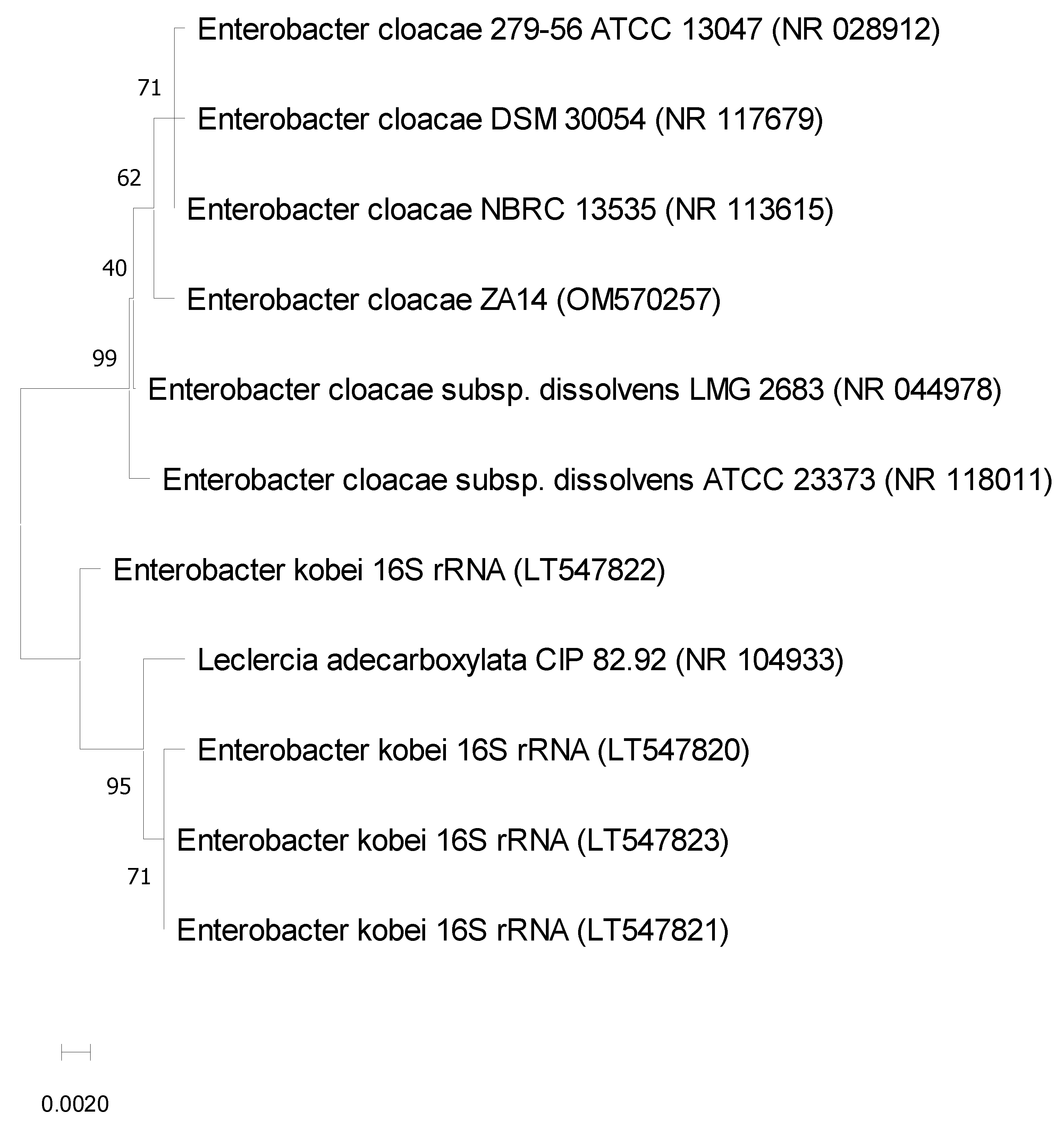 Sustainability 14 13619 g001