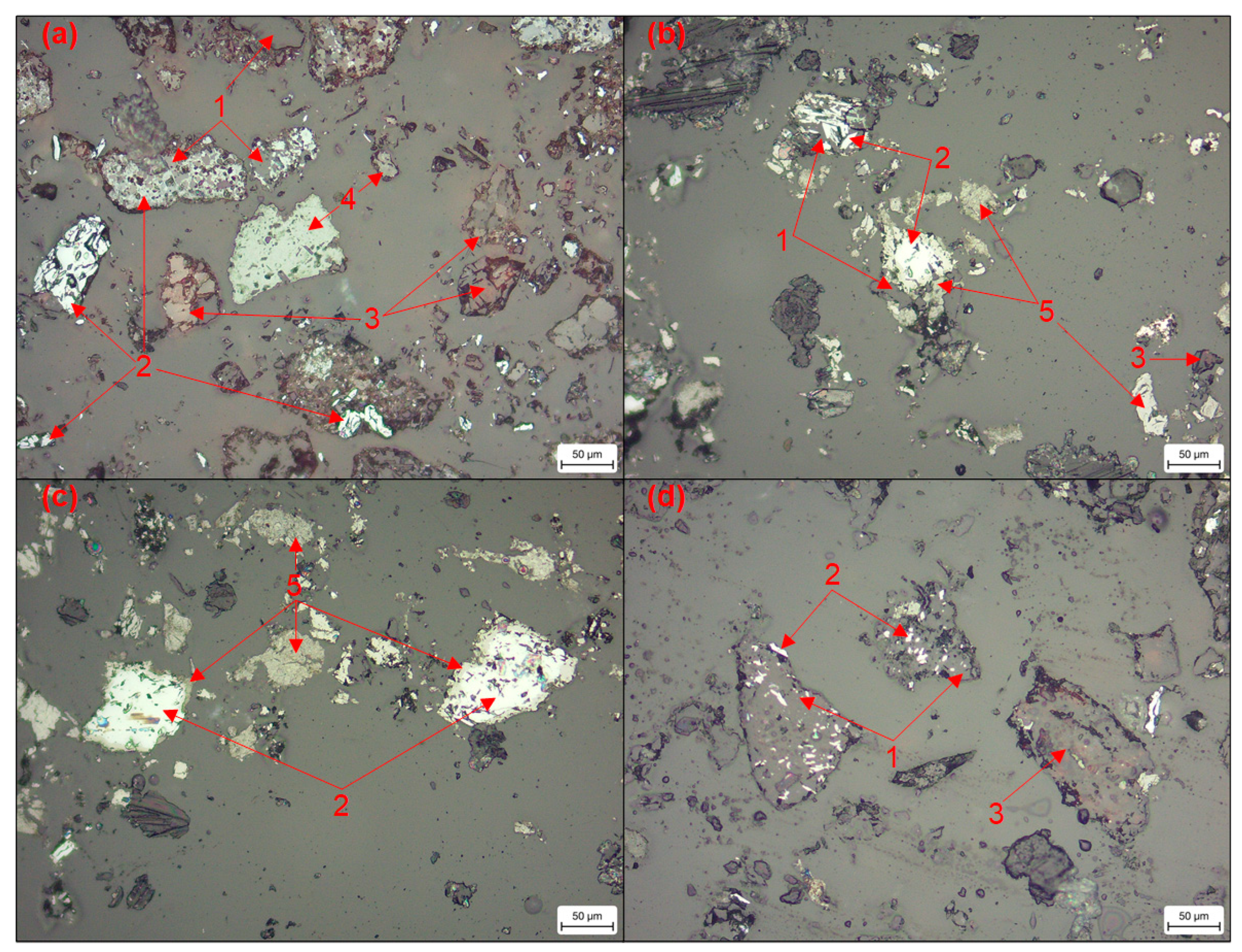 Sustainability 14 13629 g006