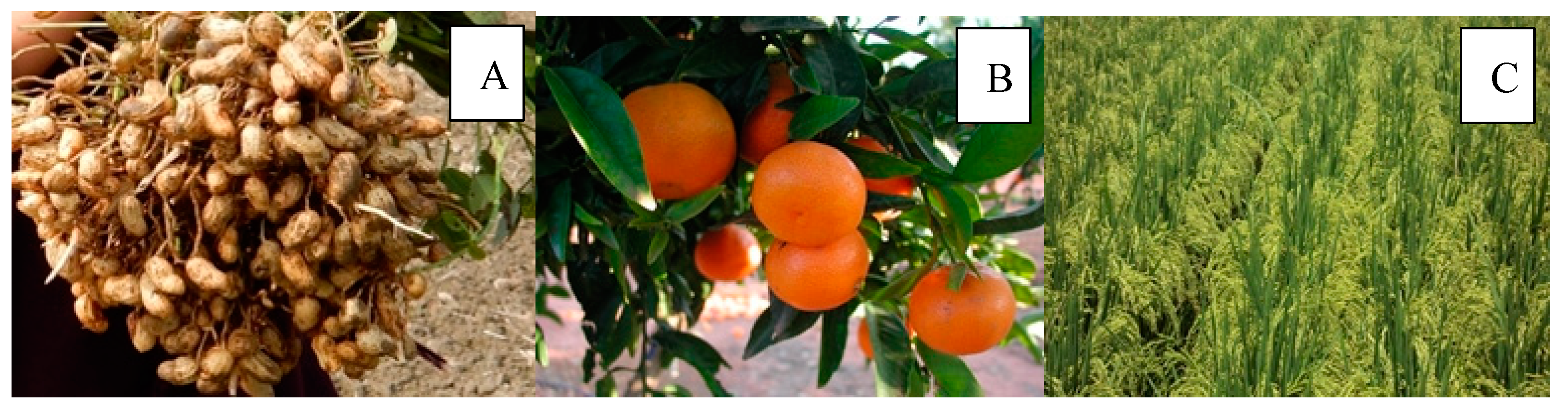 Sustainability 14 13646 g002