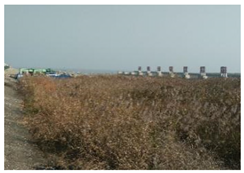 Sustainability 14 13718 i002 Sustainability 14 13718 i002