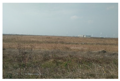 Sustainability 14 13718 i004 Sustainability 14 13718 i004