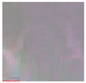 Sustainability 14 13718 i005 Sustainability 14 13718 i005