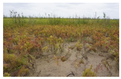 Sustainability 14 13718 i006 Sustainability 14 13718 i006