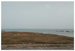 Sustainability 14 13718 i008 Sustainability 14 13718 i008