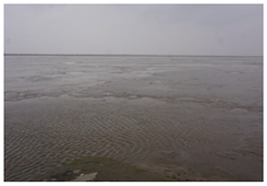 Sustainability 14 13718 i010 Sustainability 14 13718 i010