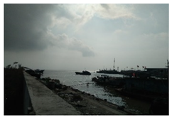 Sustainability 14 13718 i012 Sustainability 14 13718 i012