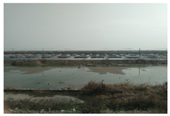 Sustainability 14 13718 i014 Sustainability 14 13718 i014