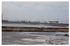 Sustainability 14 13718 i016 Sustainability 14 13718 i016