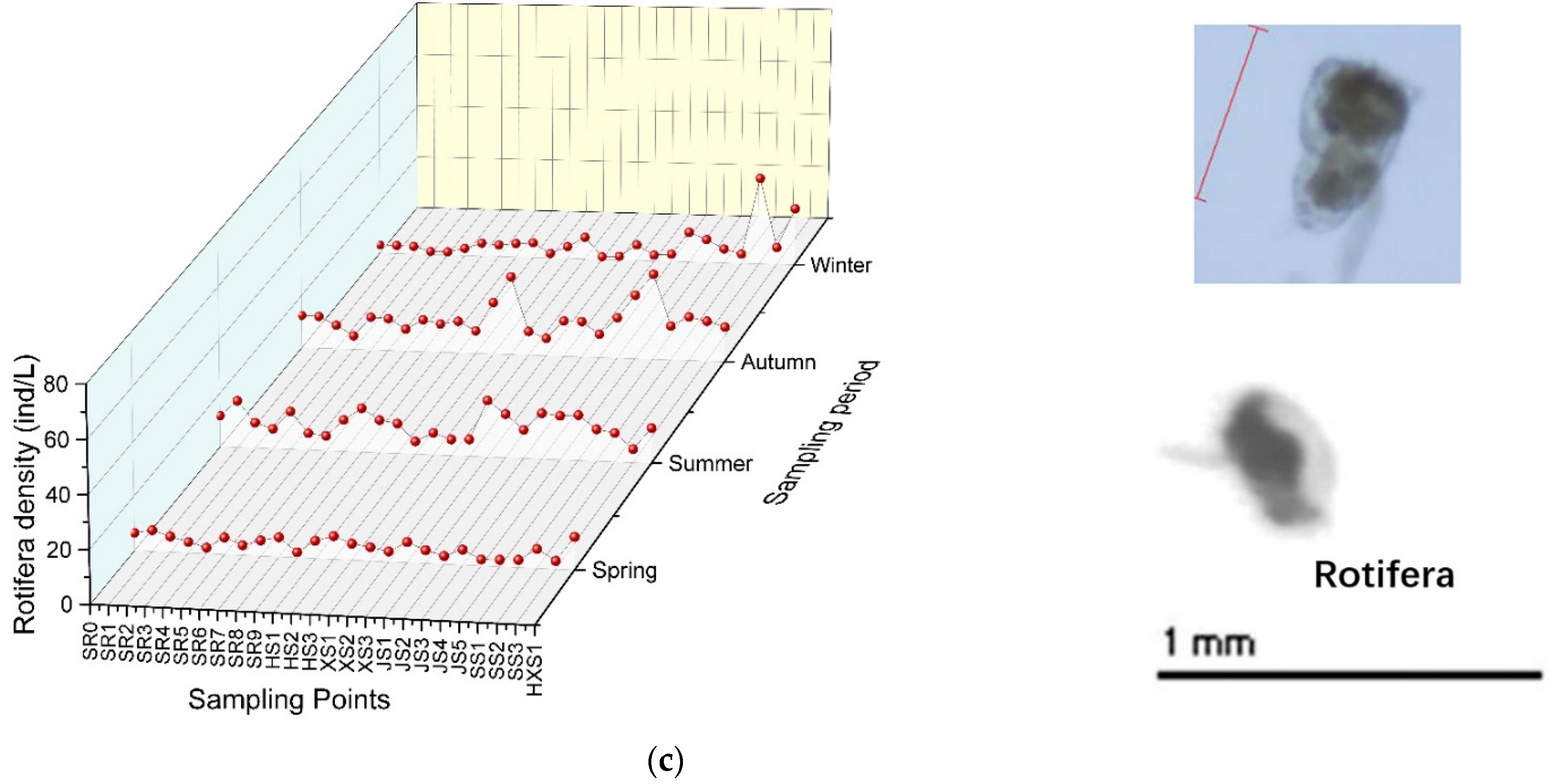 Sustainability 14 13719 g004b Sustainability 14 13719 g004b