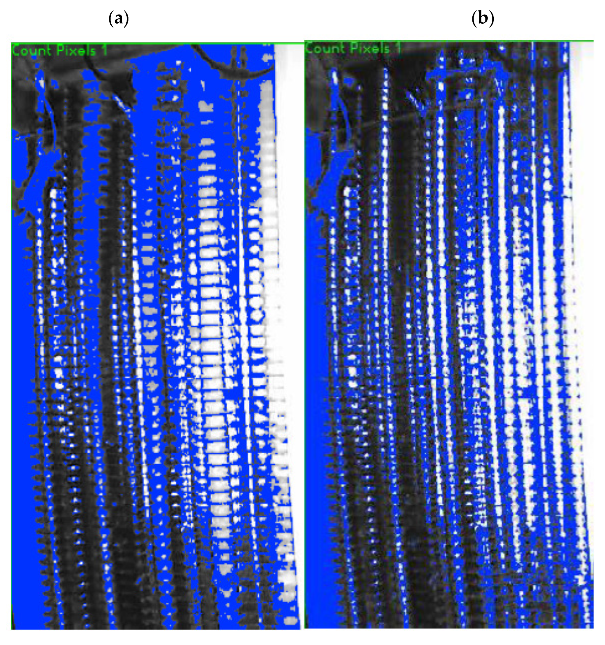 Sustainability 14 13731 g005