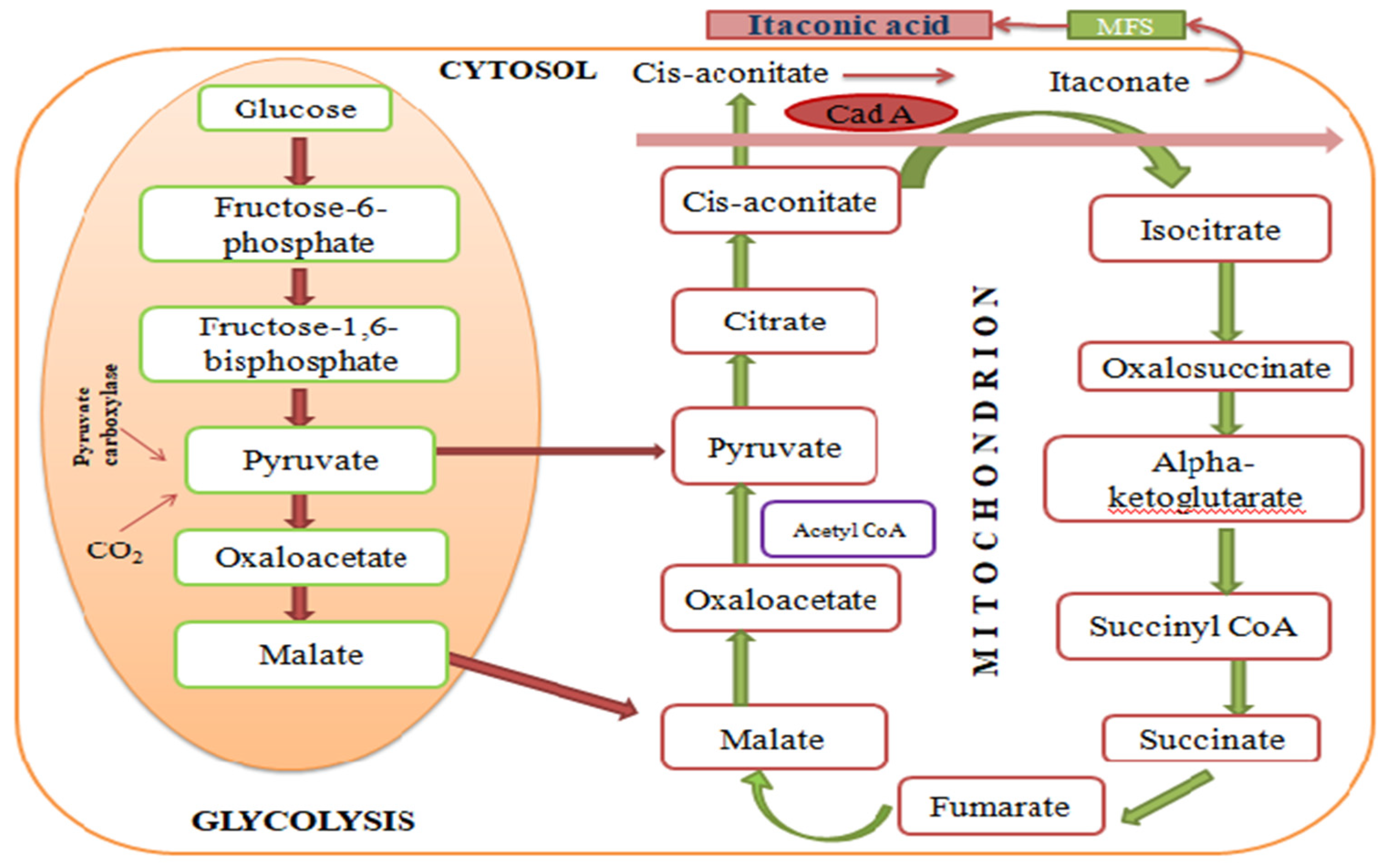Sustainability 14 13777 g002