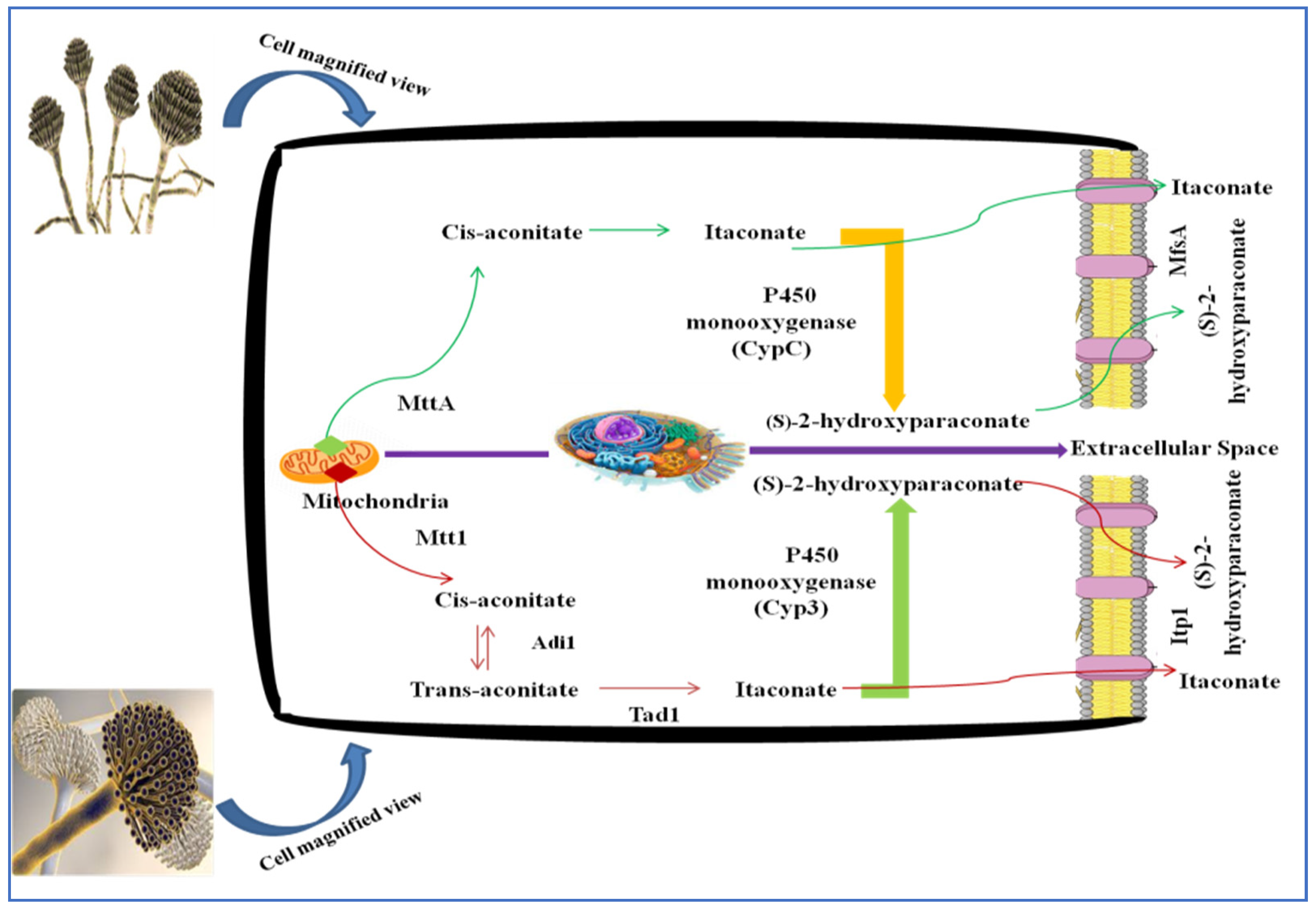 Sustainability 14 13777 g003