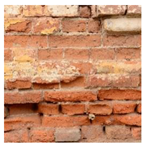 Sustainability 14 13827 i001 Sustainability 14 13827 i001