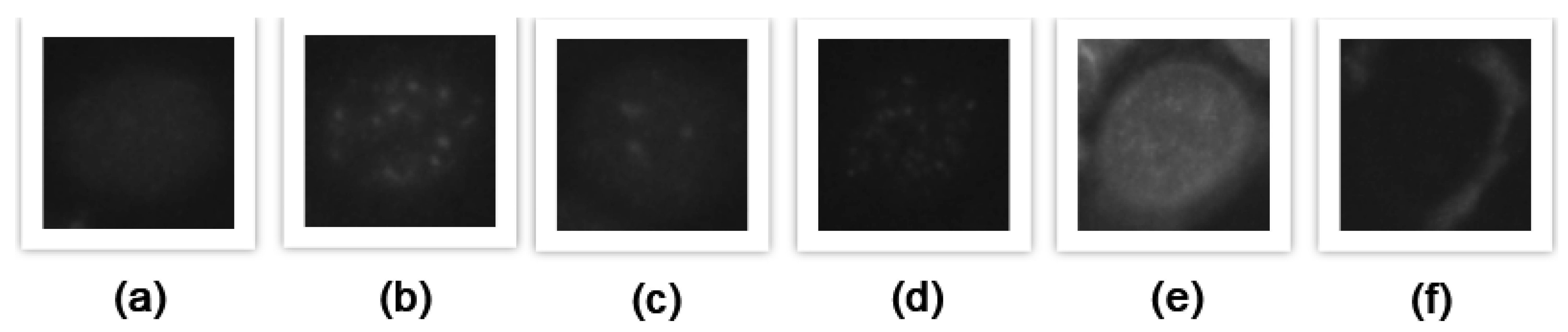 Sustainability 14 13891 g002 Sustainability 14 13891 g002