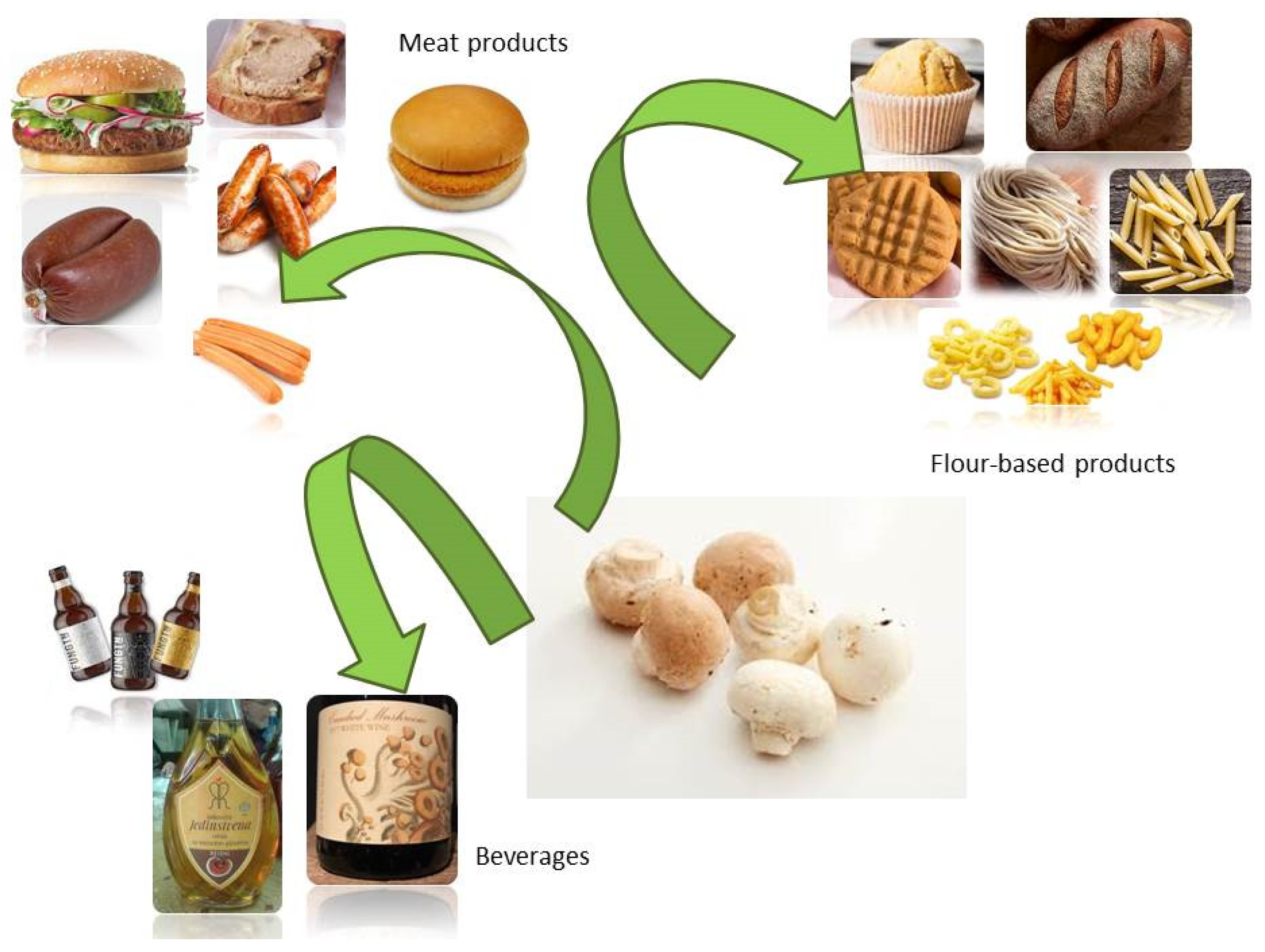 Sustainability 14 13894 g003