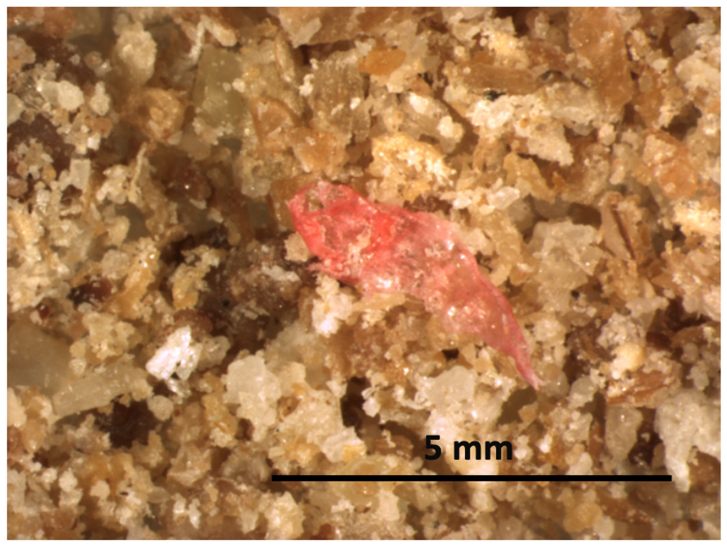 Sustainability 14 13911 g002