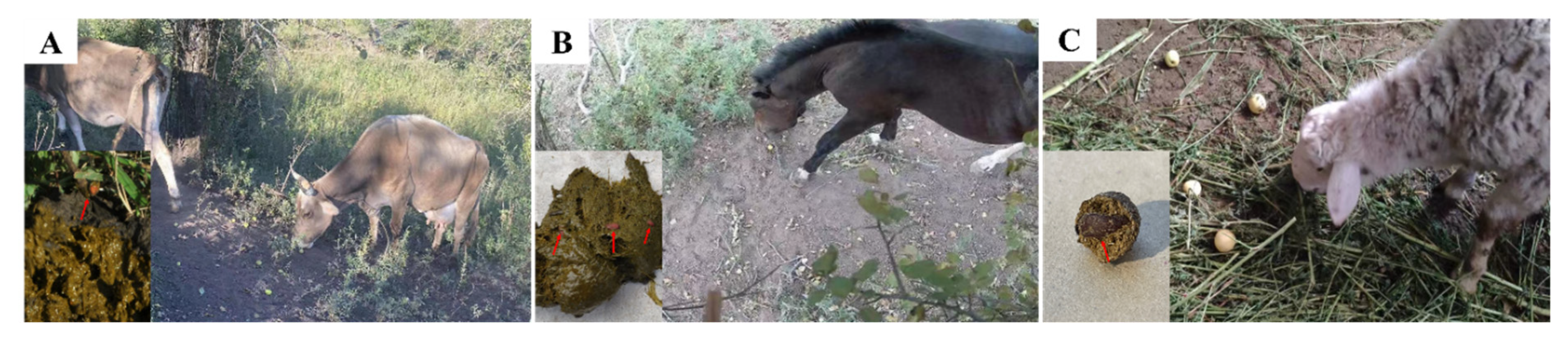 Sustainability 14 13930 g001