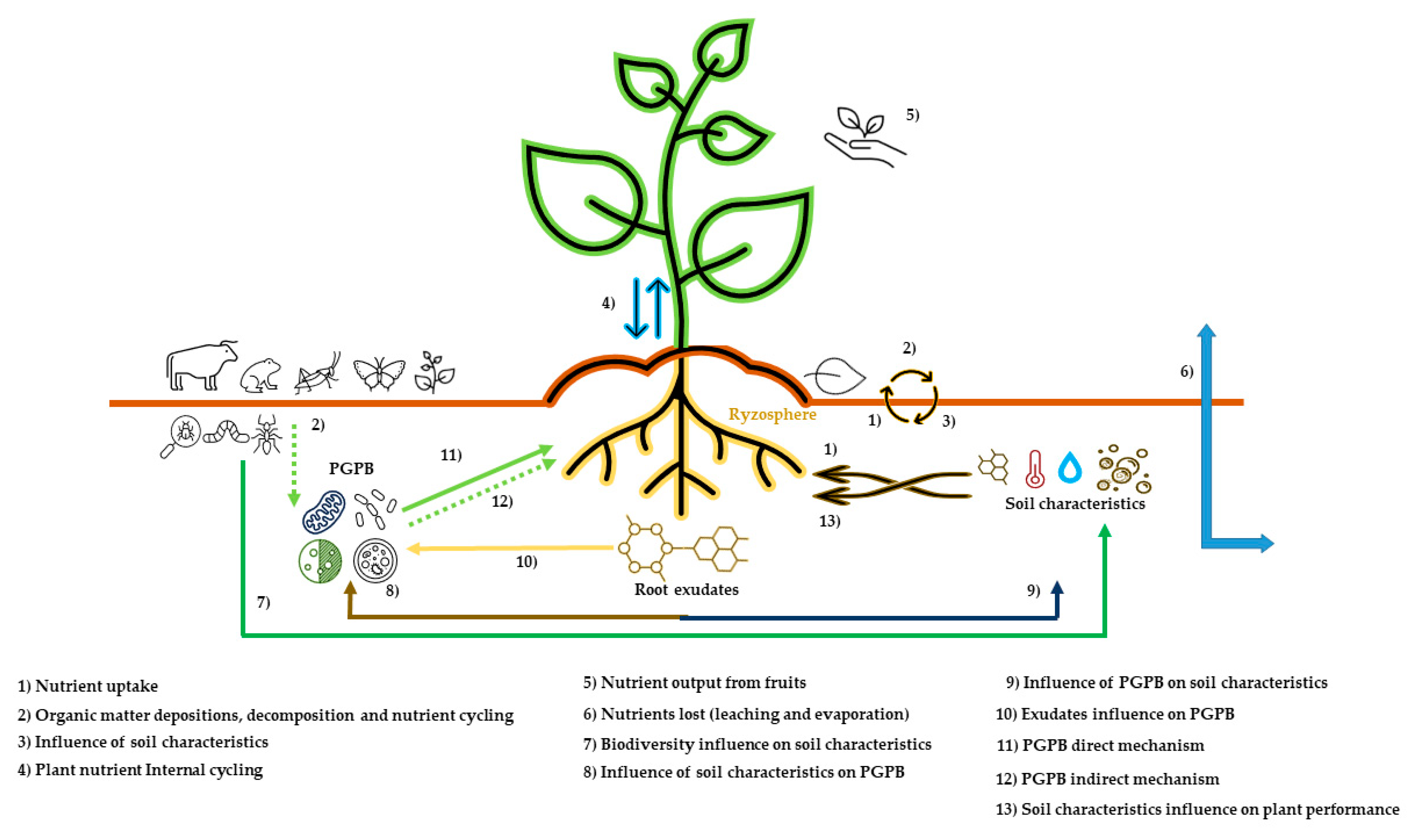 Sustainability 14 13952 g002