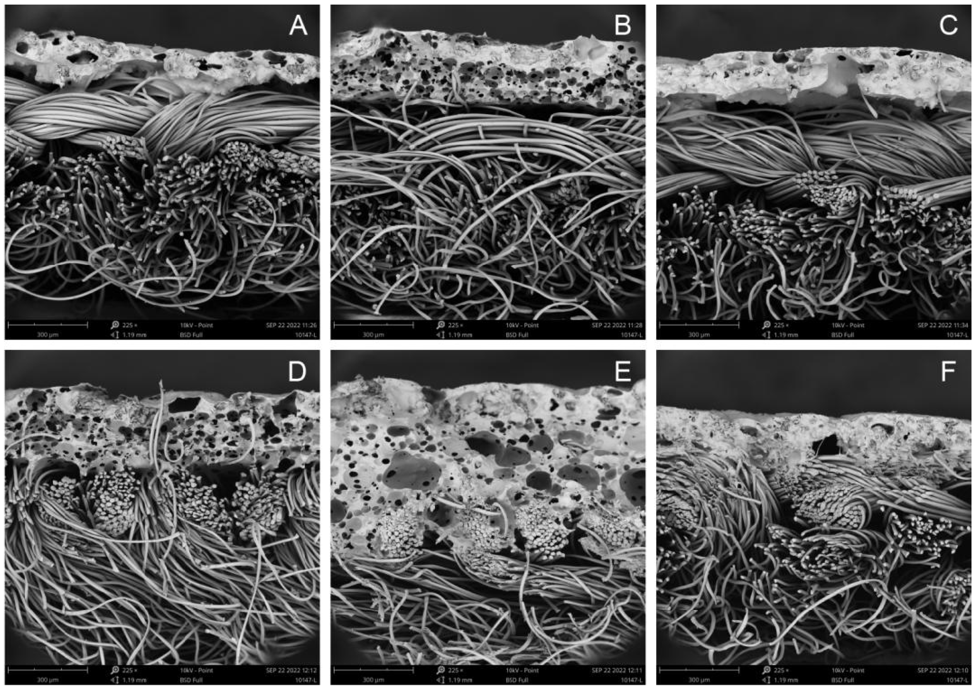 Sustainability 14 13971 g005