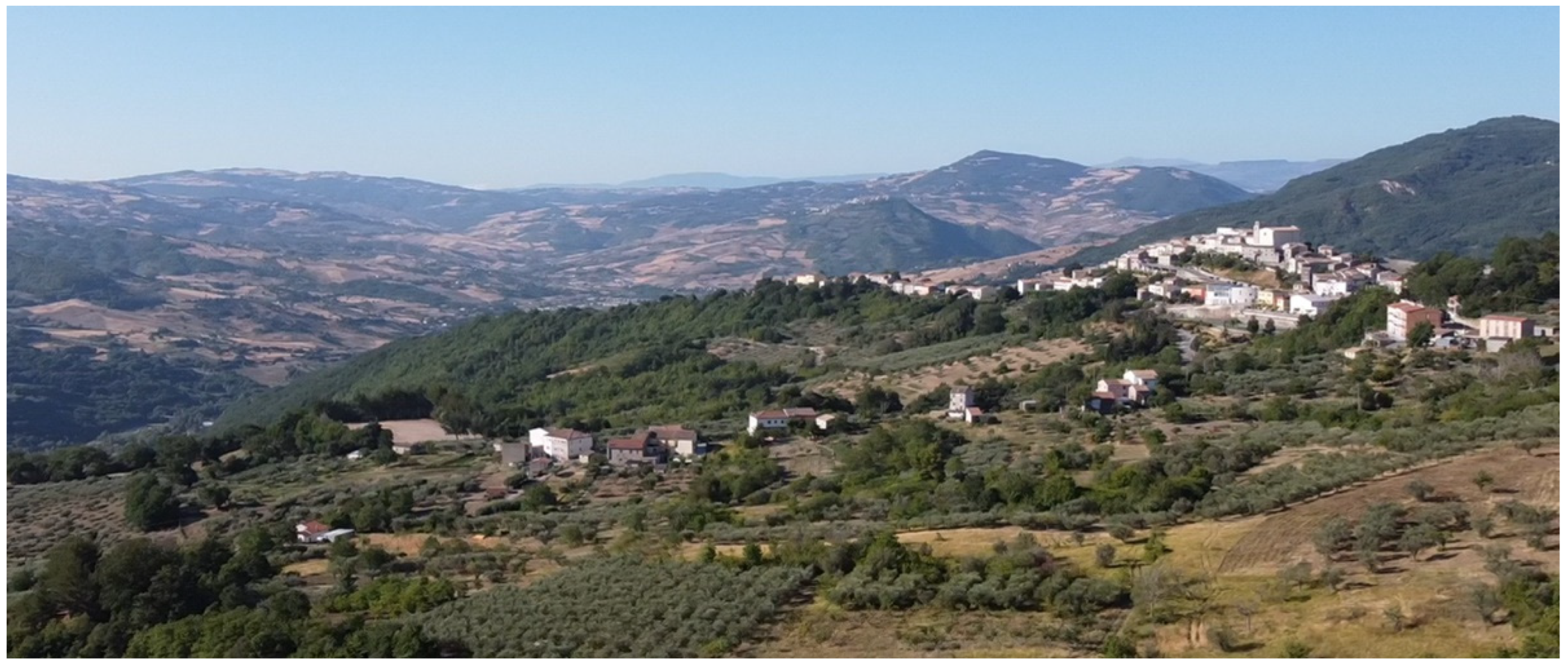 Sustainability 14 13982 g001 Sustainability 14 13982 g001