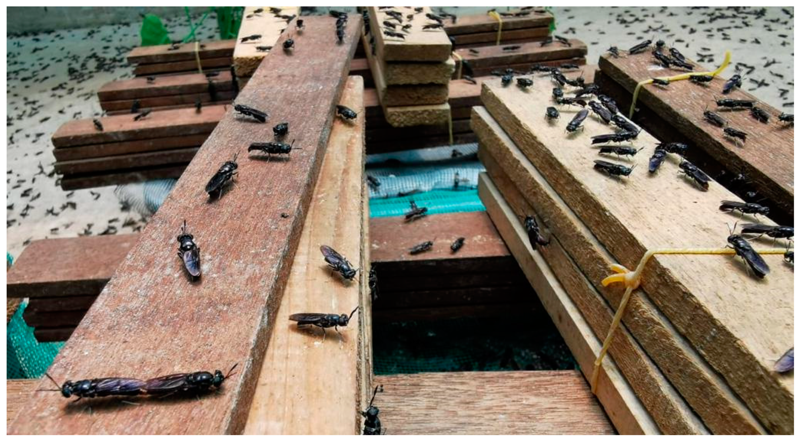 Sustainability 14 13993 g001