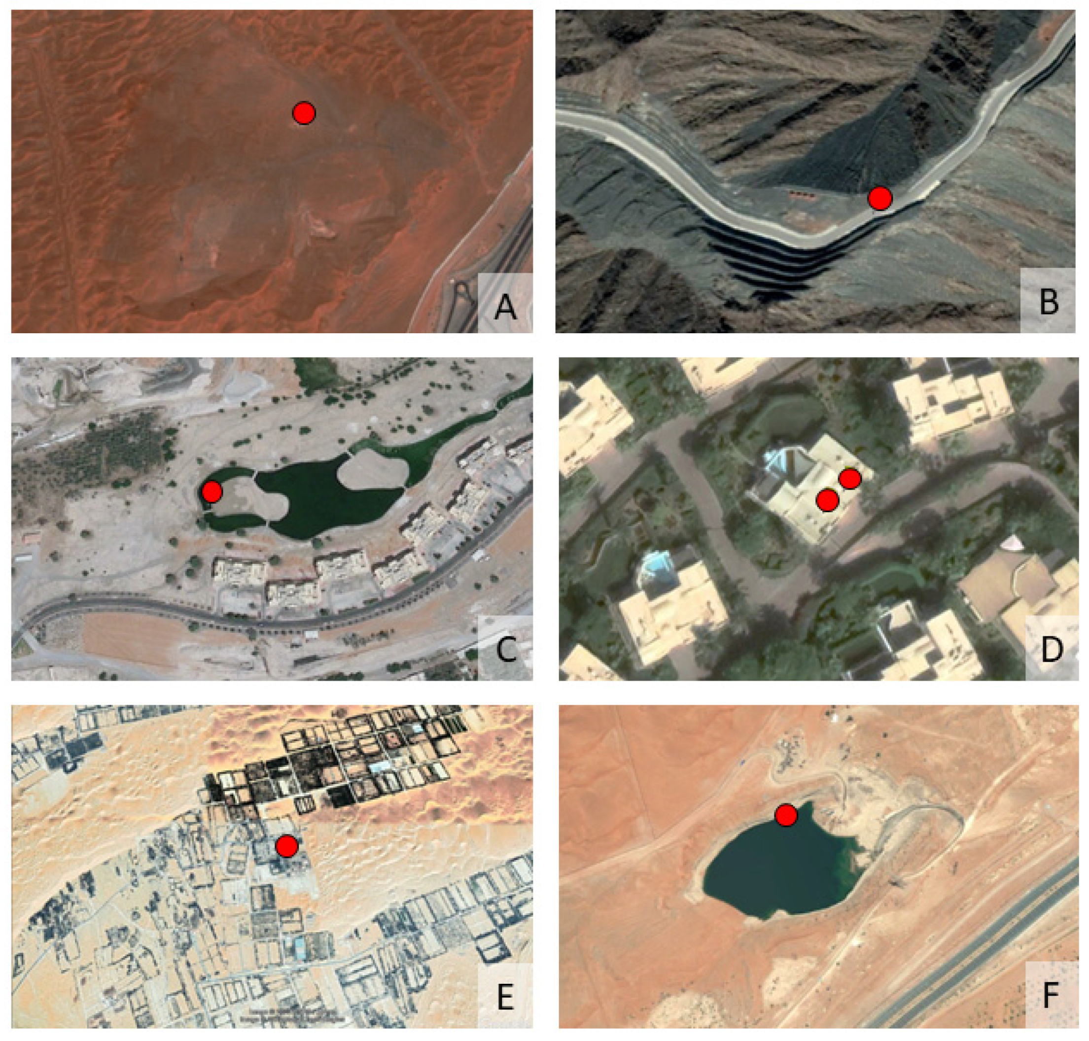 Sustainability 14 14096 g005