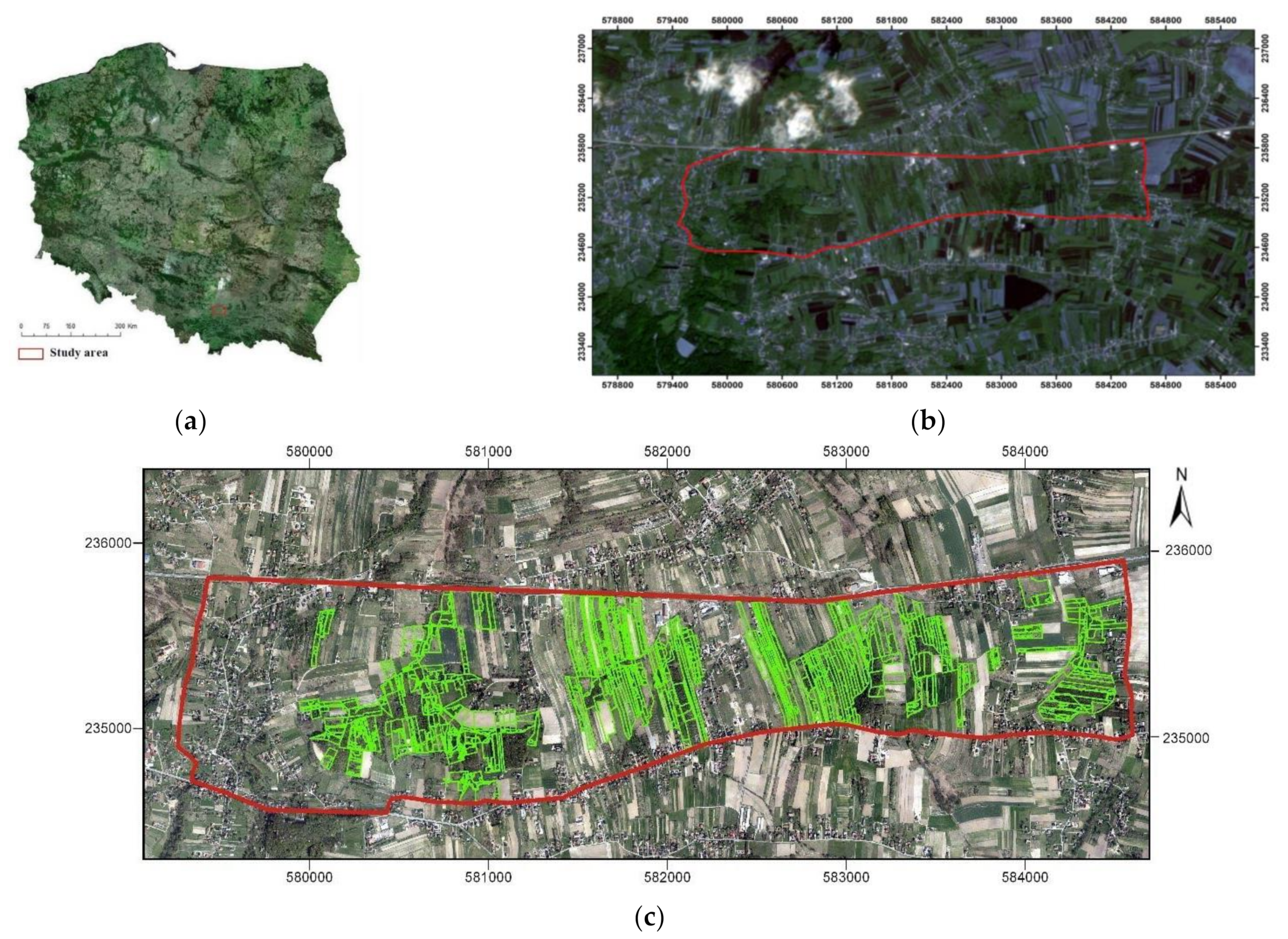 Sustainability 14 14110 g001 Sustainability 14 14110 g001