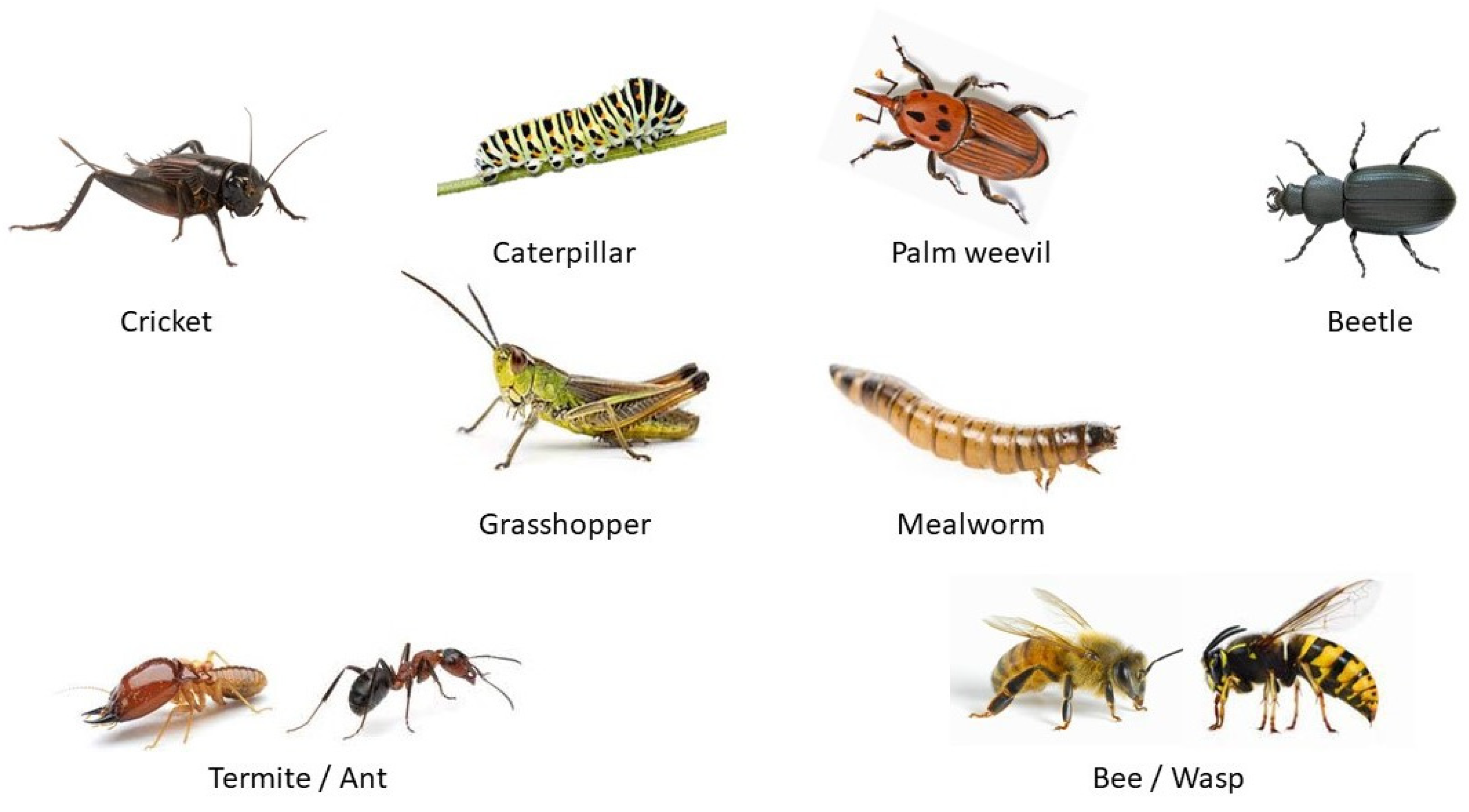 Sustainability 14 14125 g001